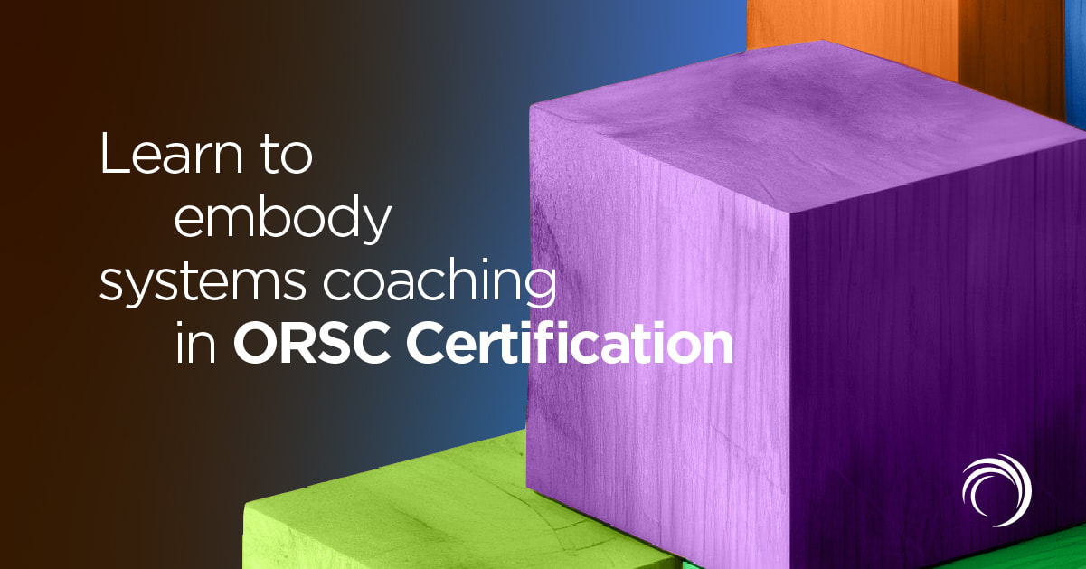 Learn to embody systems coaching in ORSC Certification