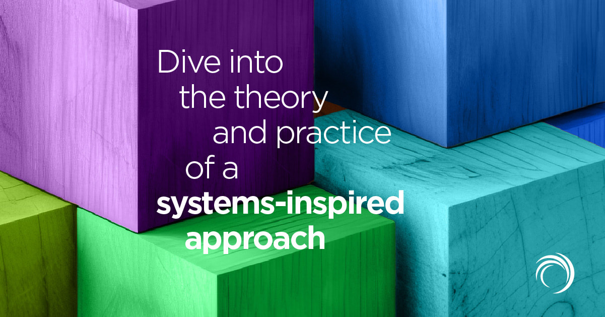 Relationship systems coaching - dive into the theory and practice of a systems-inspired approach