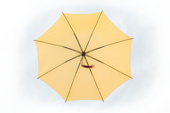 Umbrella image representing ORSC and Agile systems together