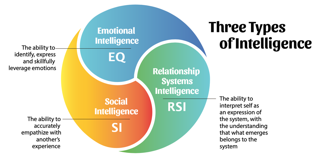 Three types of Relationship Systems Intelligence (RSI™)